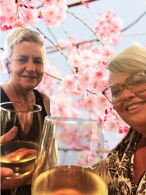 121044321-2422206848082921-1054316737921786020-n