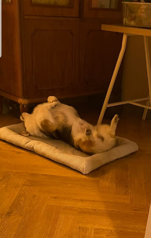 Screenshot_20230307-095826_WhatsApp