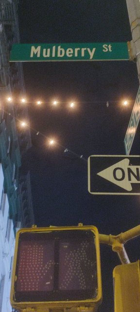 Vista icónica en Dumbo, bicis Central Park, Museo Historia y Little Italy - Nueva York y Cataratas del Niágara 2023 (41)