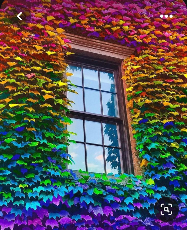 Screenshot_20230512_224910_Pinterest