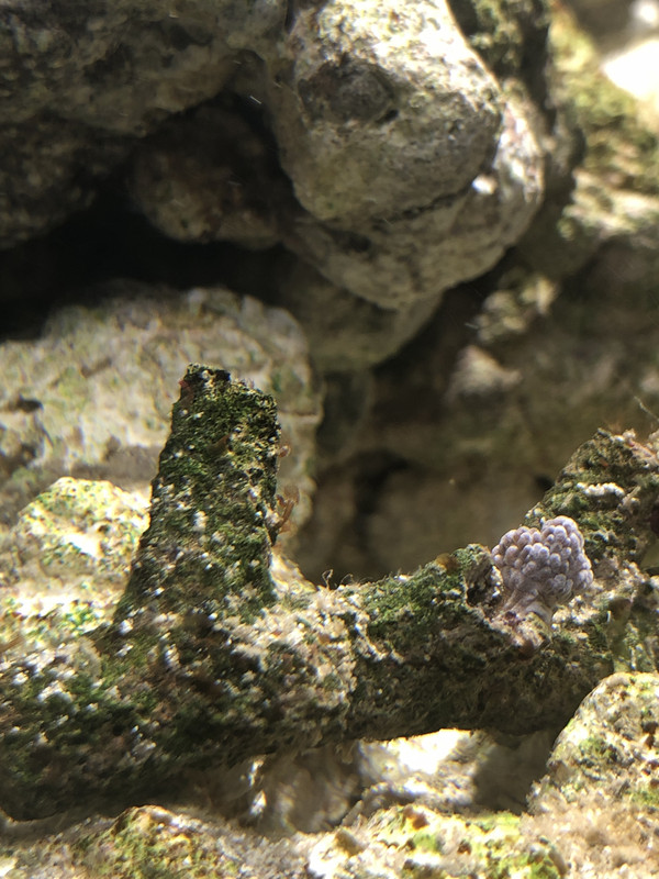 DC14D3CB-2D91-4787-8EE8-6731235CA483