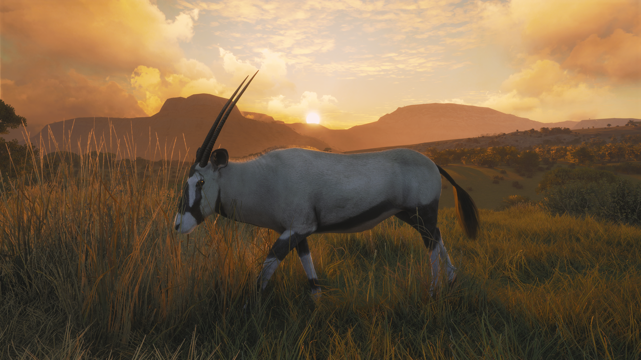 theHunterCotW_F 2019-01-25 13-15-18-16