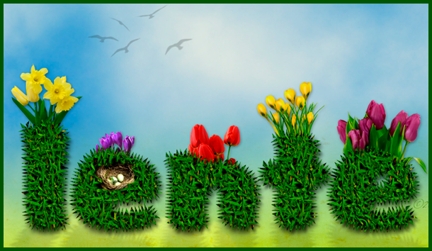 lente