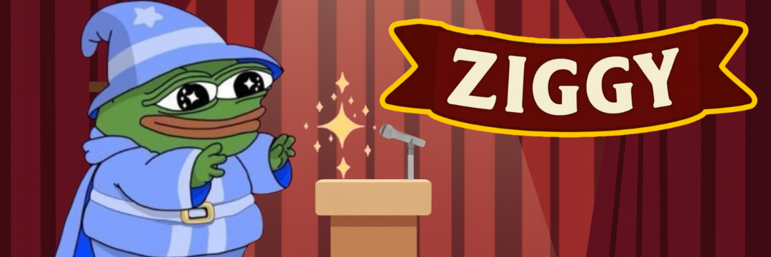 Ziggy Banner
