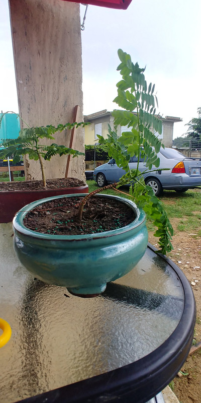 20191001_170558_HDR