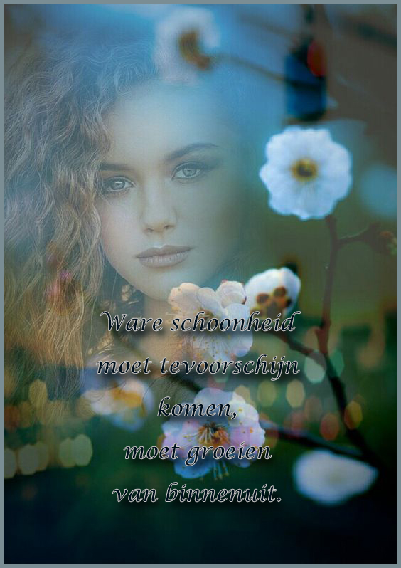 9313a0120c458174fc4b27b0a8aff1ca