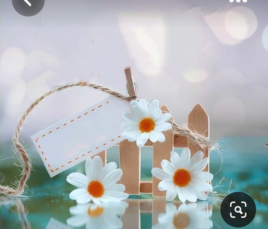 Screenshot_20230616_130631_Pinterest