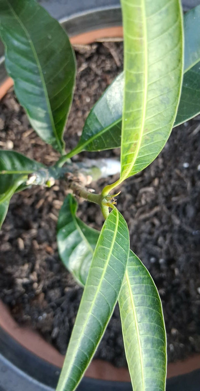 a3238ea6 133d 4785 9891 7c8ef049267e