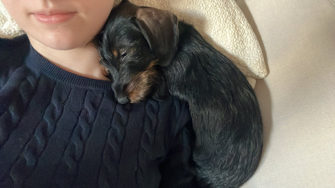 [Image: signal-2025-08-30-185333.jpg]