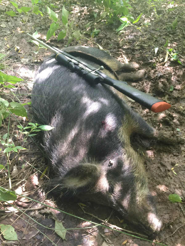 B1EE0780-C292-444A-B548-E52B389CA3B6