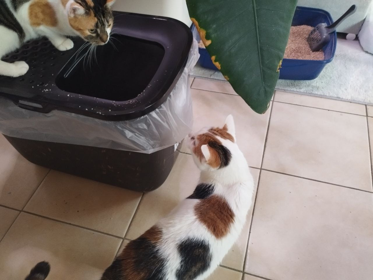 photo 2026 02 06 17 31 49