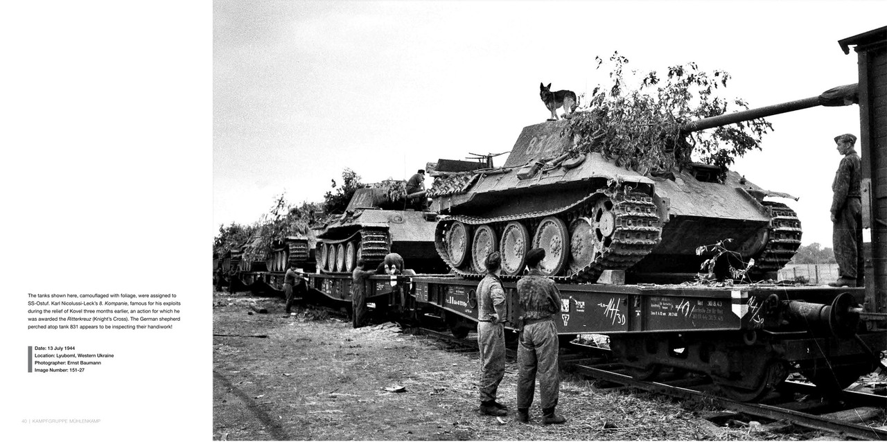 Kampfgruppe Mühlenkamp 5. SS-Panzer-Division Wik