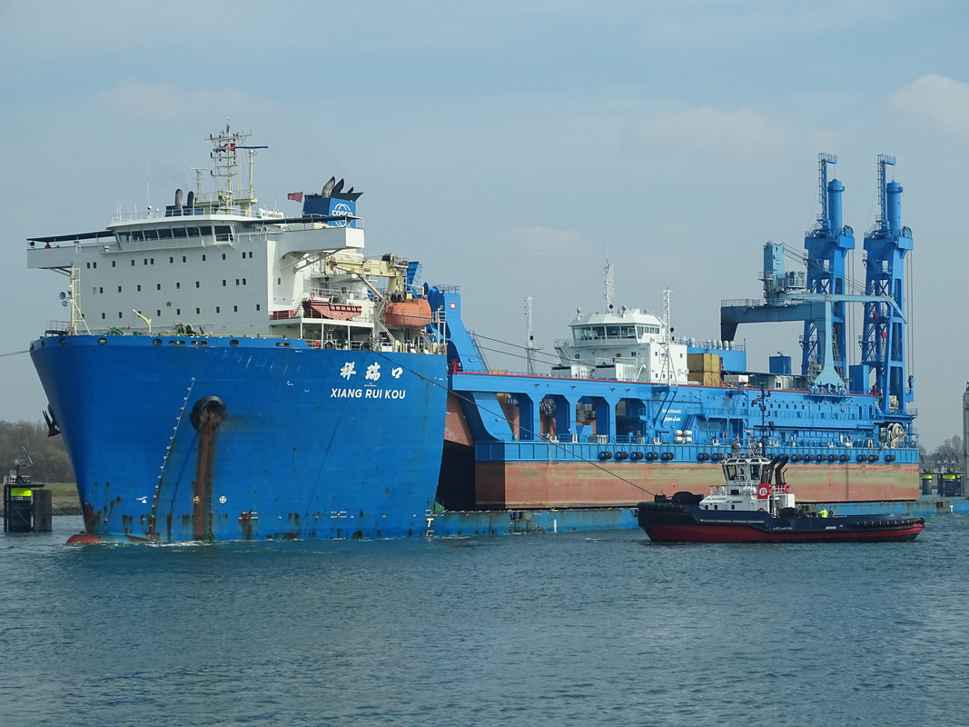 xiang rui kou©andriessen (2)