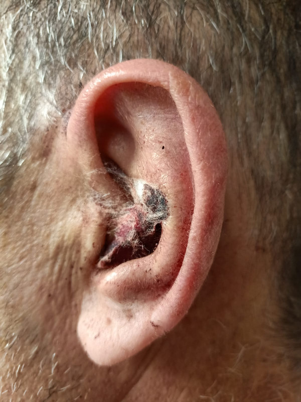 FA282018-BA4C-4D54-A87B-AAC02750FF9A