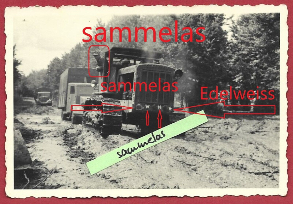 Foto Gebirgsjäger russ. Beute Raupe Edelweiß 1.Geb.Div.Geb.Pio.Btl.54