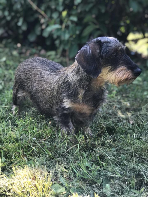 [Image: IMG-9960-1.jpg]