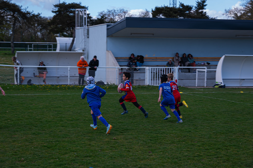 tournoi-de-latlantique-2026-adonis-griffon-113-55180400022-l