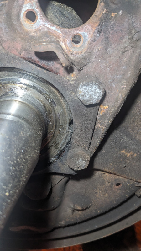 PXL 20260216 173704043