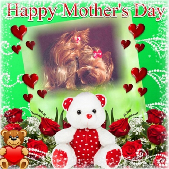 pixiz 25 05 2024 17 22 16