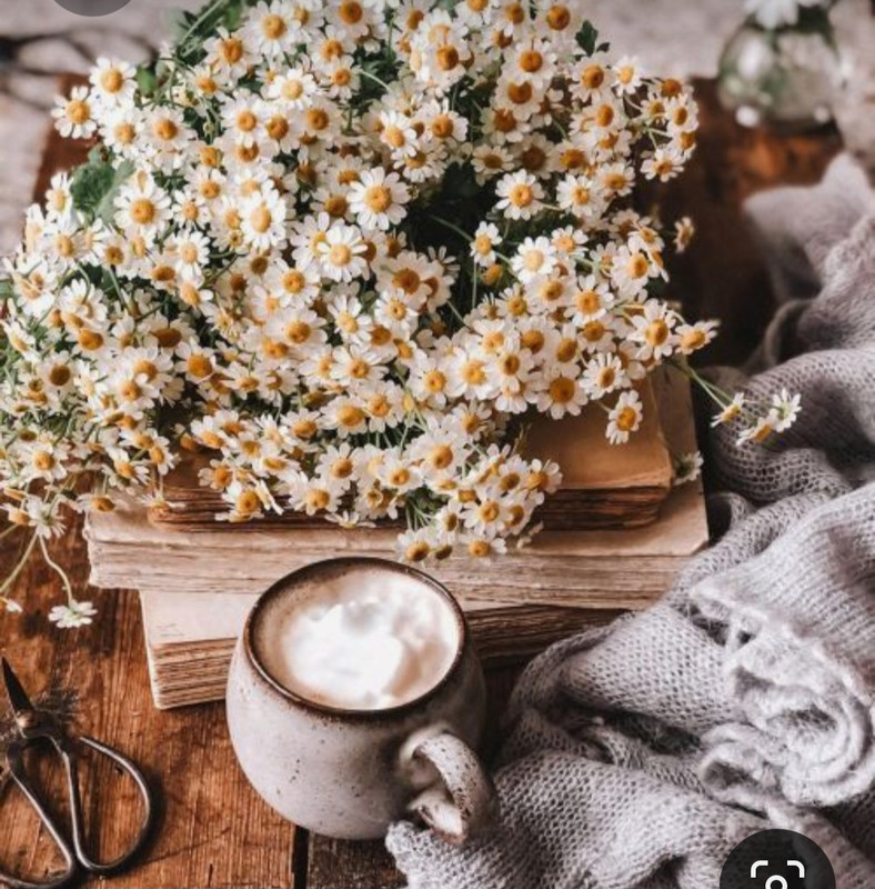 Screenshot_20231031_215139_Pinterest