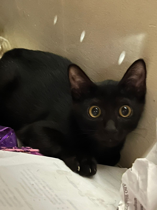 5F0EBBAC-A3BE-4216-8BF3-1759DED46A94