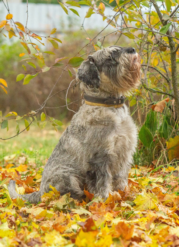 -SWRrbycWIygPFVOZGzRLQca_xx9k8BDHs-XG7BANgUiX8Rouq7mtQM3TZnZaSXwav6R3jxp_L49jkiaJjB38REA