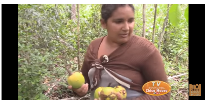 微信图片_20211126220647