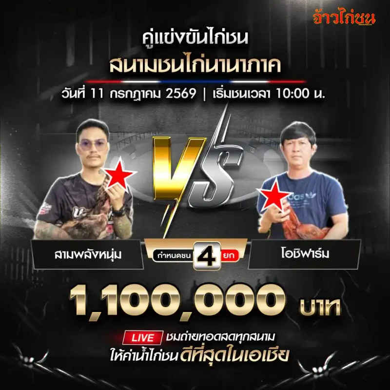สามพลังหนุ่ม พบ โอชิฟาร์ม สนามชนไก่นานาภาค วันที่ 11 กรกฎาคม 2569