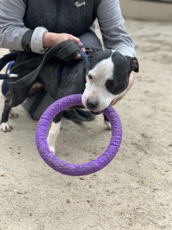 5231DE6A-EC01-4F31-B09E-6363A30BA53B