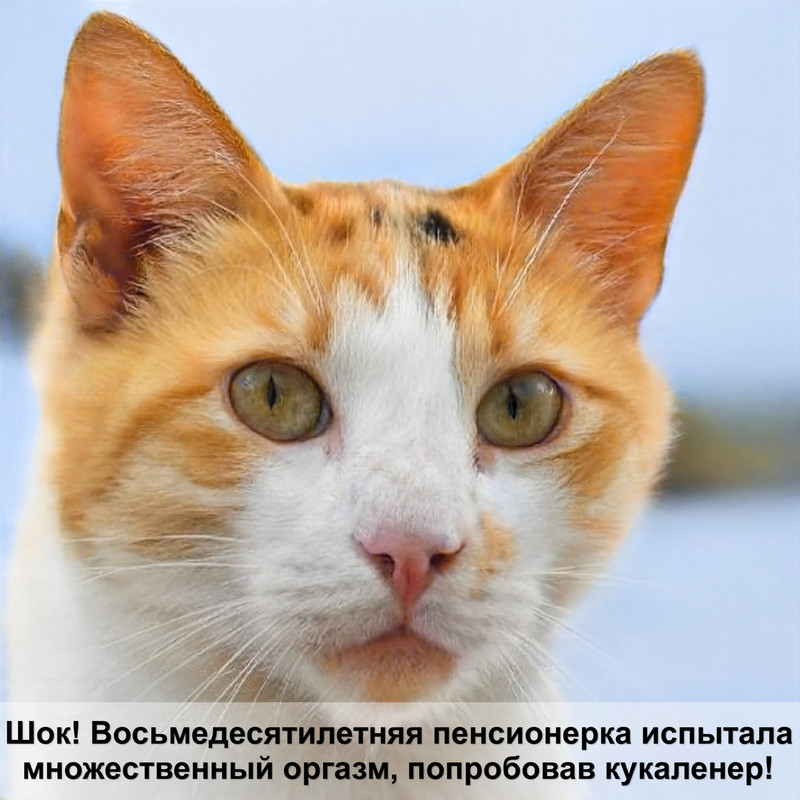 красивые ошейники для кошек