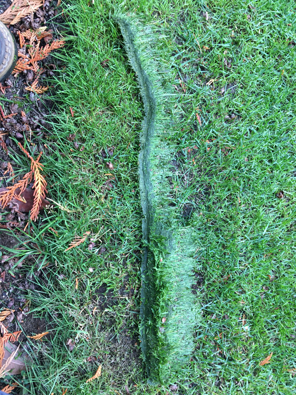 0B134C7C-2DF4-4155-B8F0-B449B9043869