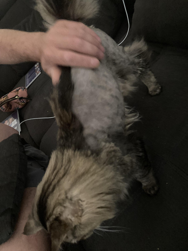 received_295463192805083