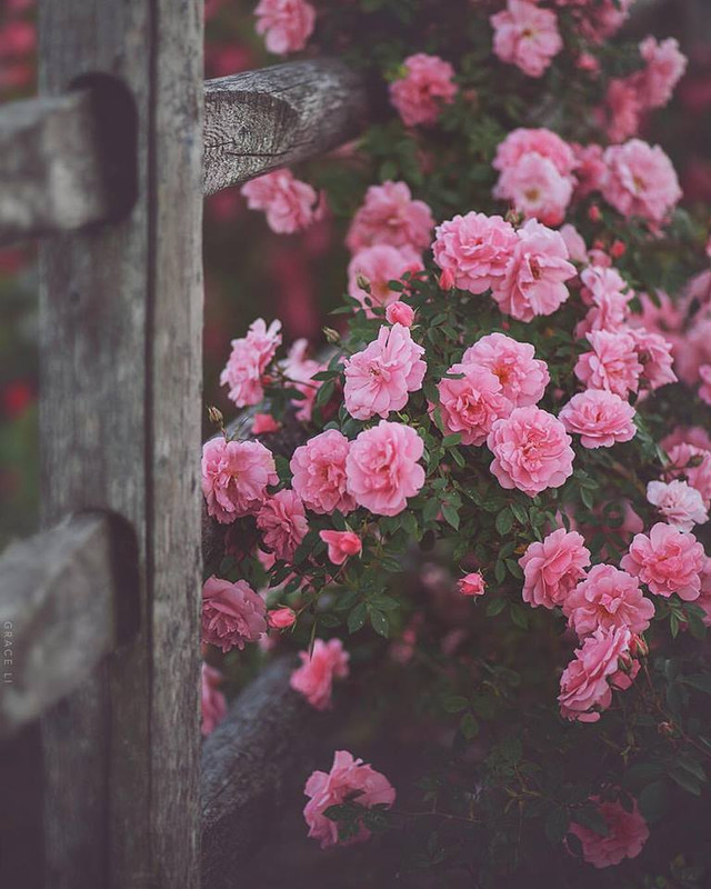 ���� ���� ������ �� ���� ������