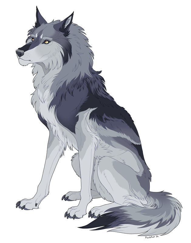 [Image: Kieran-Fin.png]
