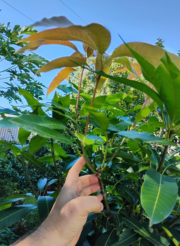 IMG_20250919_101021063_HDR~2