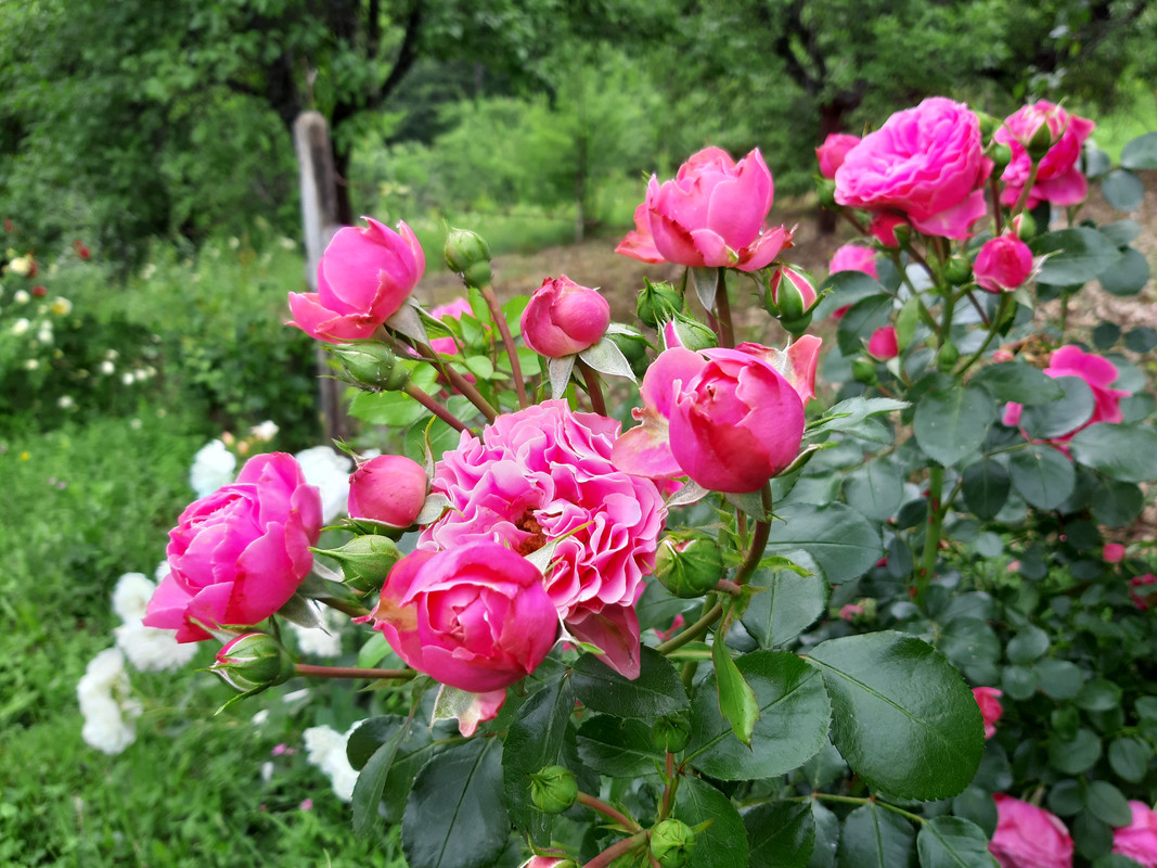 20190601_175004