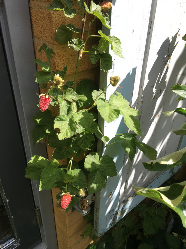 04D94796-6741-40B2-AD42-21980455221C