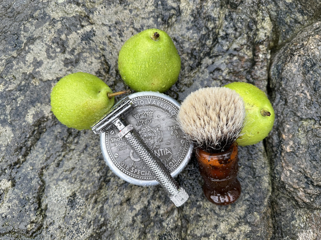 SOTD_20230812.jpg