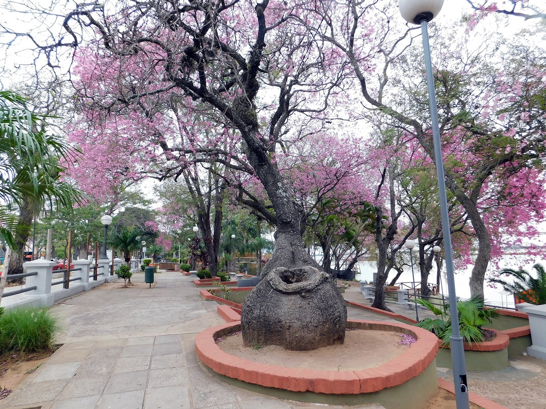 DSCN1467.jpg