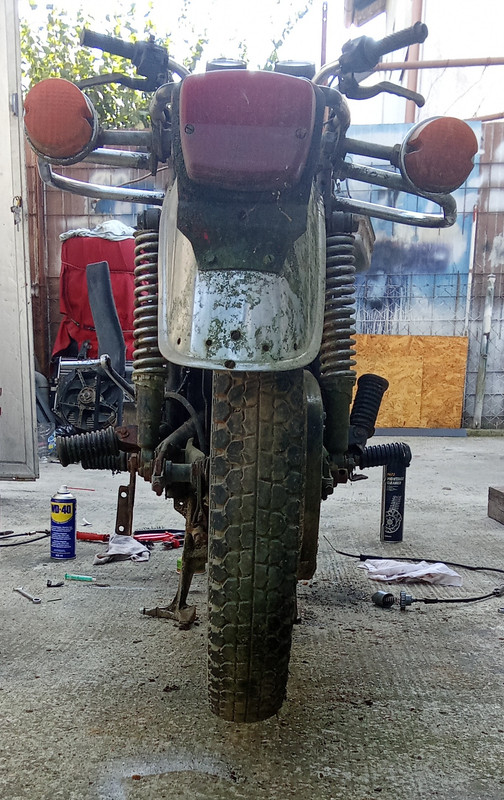 IMG_20241001_125746 (copy)