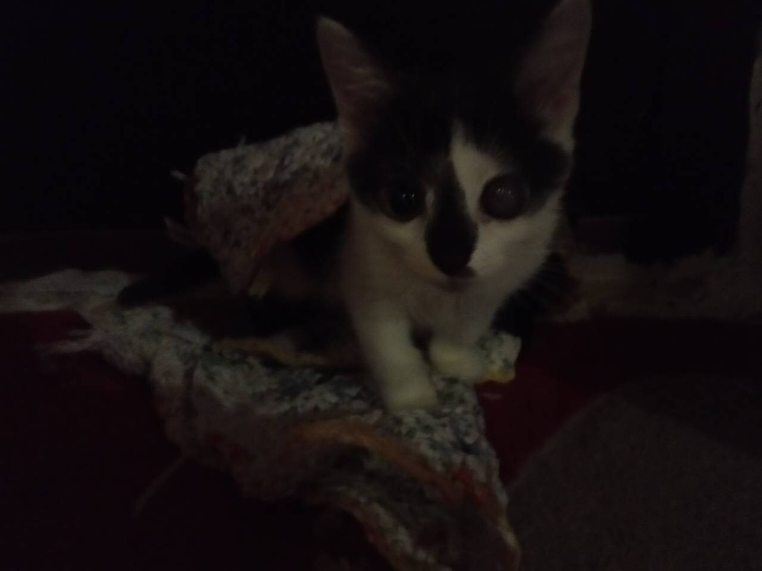 4D8BCBE3-B3FB-4DEF-95F2-6888374FA384