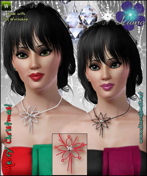 Accessories 14
