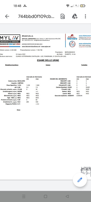 IMG-20220304-WA0004 (1)