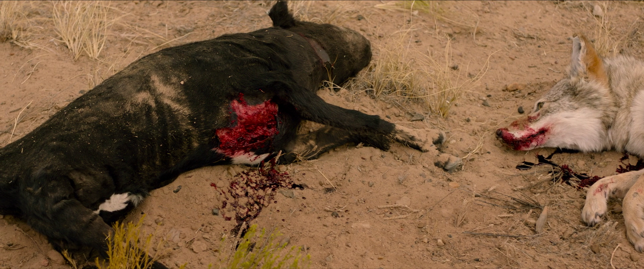 vlcsnap-2021-04-21-08h19m26s067