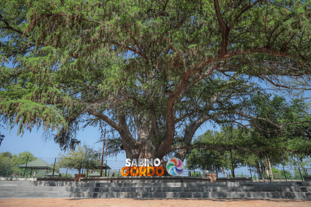 Parque Sabino Gordo es reconocido como una de las Siete Maravillas Hist