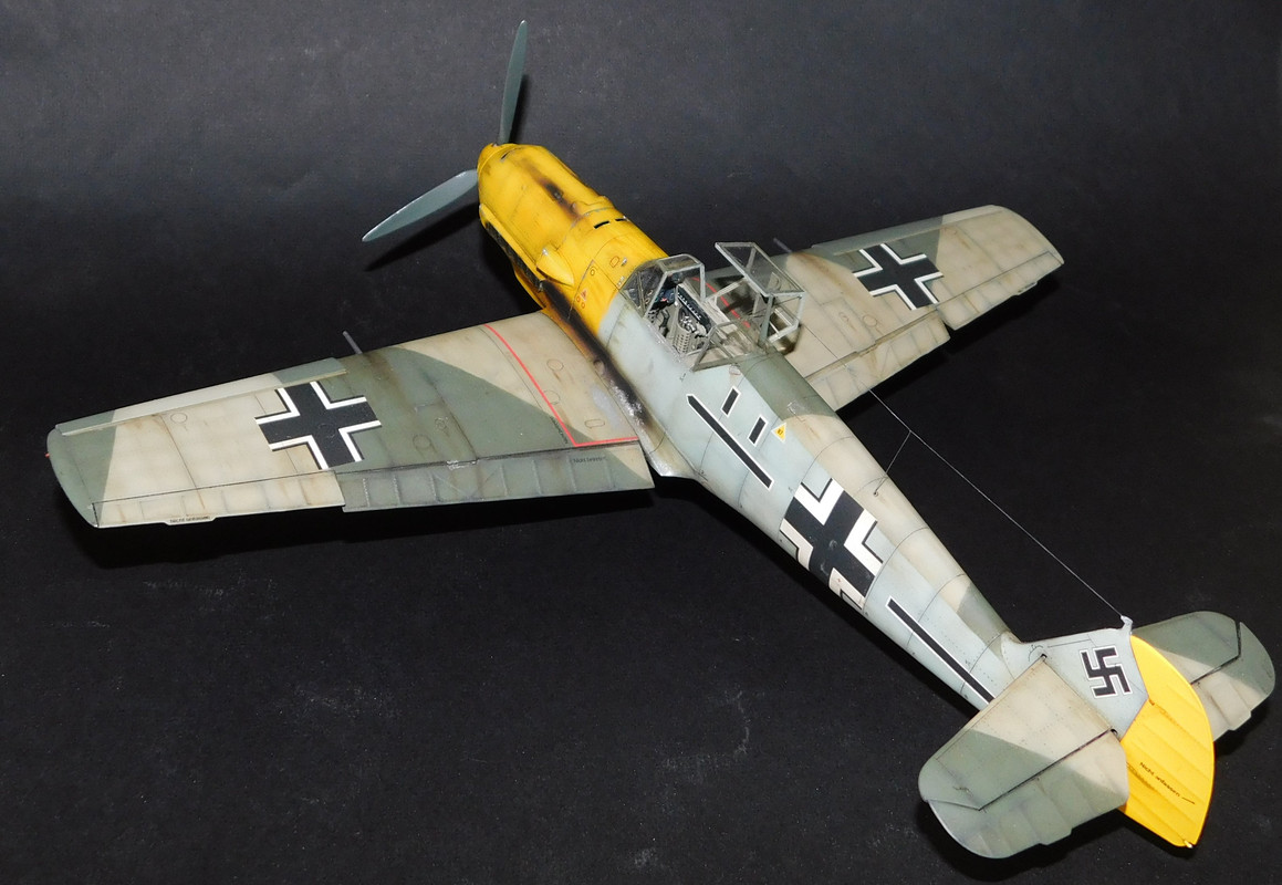 Bf-5.jpg