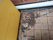 photo_2021-07-28_08-31-44