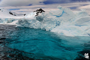 Antarctica-Eturia-1.jpg