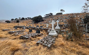 DSC001