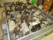 IMG-6240.jpg
